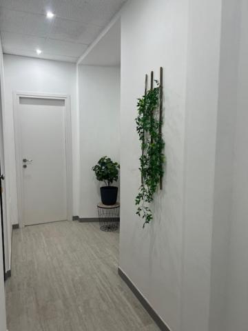 Residence Morena Ρώμη Εξωτερικό φωτογραφία